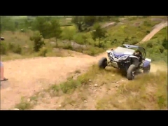 300cc 고카트 버그