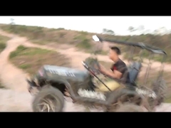 300cc 2륜 구동 고카트