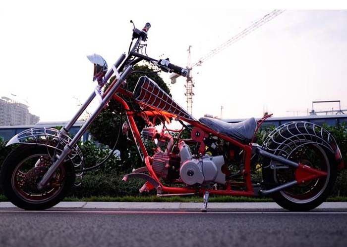 높은데서 일하는 사람 작풍 50cc 거리 법적인 오토바이, 주문 Harley 단속기 12V 건전지 3L 탱크