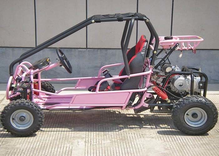 도로 후방 선반 떨어져 110cc 아이는 CVT 전송/반전을 가진 Kart 2 좌석 갑니다