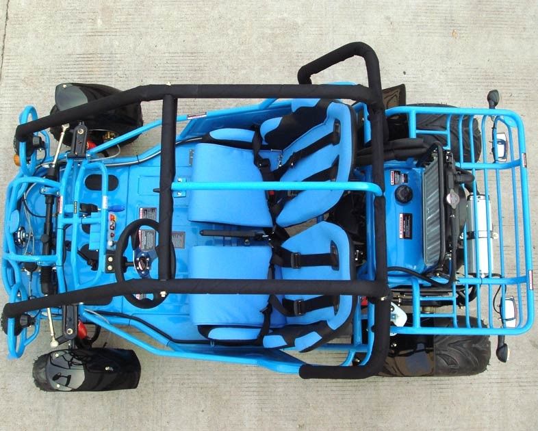 250cc는 2 륜 마차 두 배 Kart 팔 가고/A를 골라냅니다 - CVT 반전/도로 타이어로 무장하십시오
