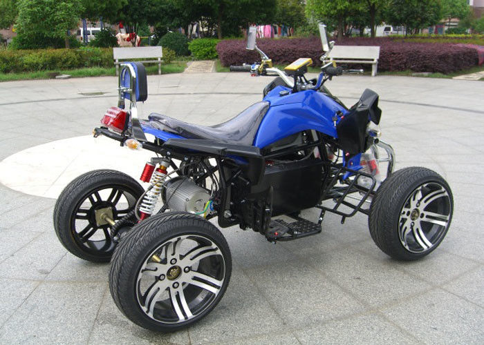 800w / 1500w 젊음 4 짐수레꾼, 2 Seater 쿼드 자전거 12V/55AH * 밀봉되는 4PCS 지도 산