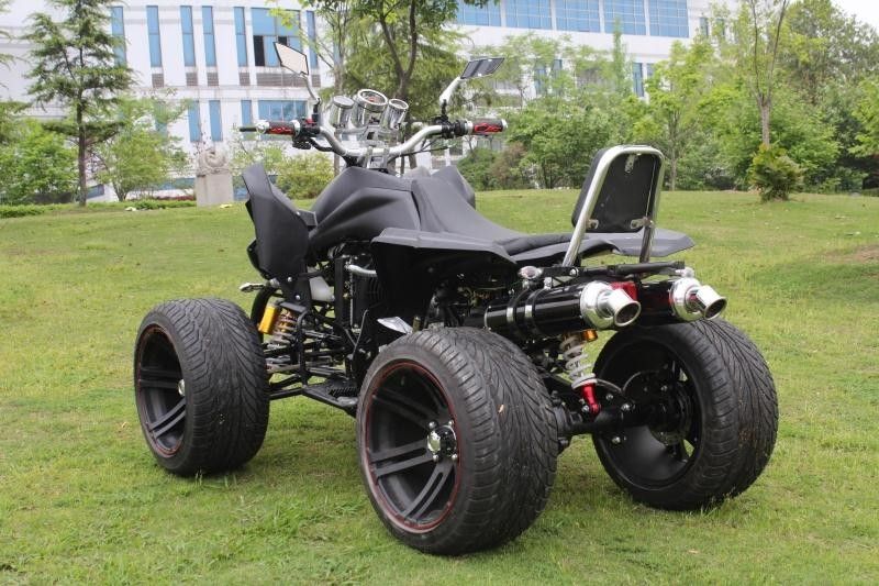 수동 물 - 냉각한 2 Seater 쿼드 자전거를 가진 작풍 실용 차량 ATV 250cc를 감시하십시오
