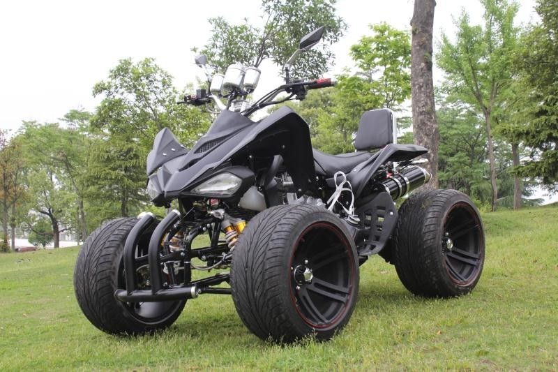 수동 물 - 냉각한 2 Seater 쿼드 자전거를 가진 작풍 실용 차량 ATV 250cc를 감시하십시오