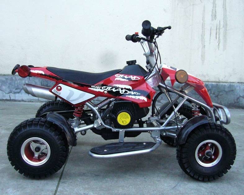 2 - 정면/후방 원판을 가진 50cc Atv 쿼드 자전거를 정면/후방 완충기 치십시오