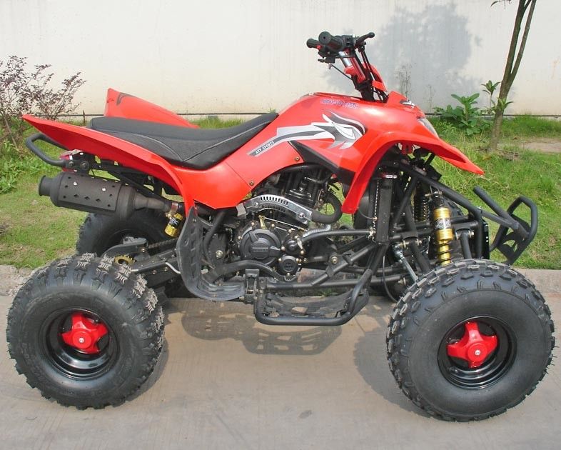 빨간 250CC 실용 차량 ATV 8