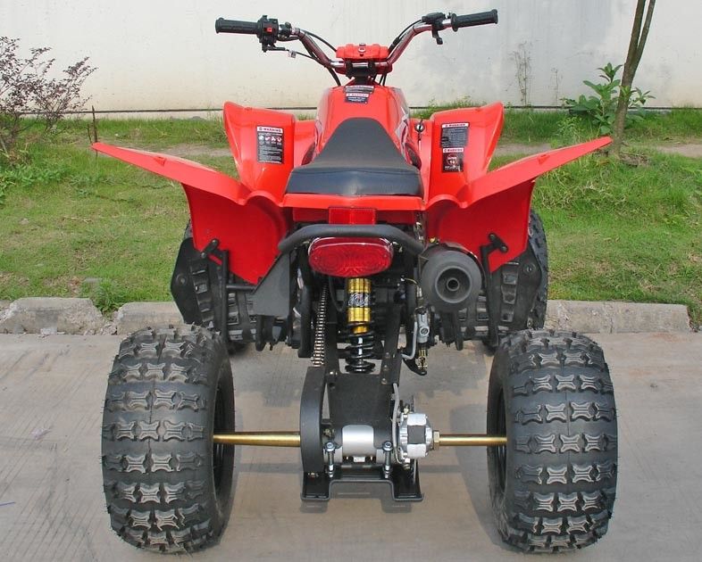 빨간 250CC 실용 차량 ATV 8