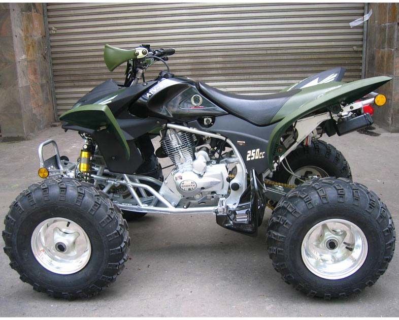 Atv 250cc Atv 쿼드 자전거 CDI 전기 시작 설명서 클러치를 경주하는 엑스트라 라지 젊음
