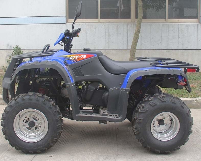 완전히 자동적인 반전 300cc 2 Seater 4 짐수레꾼 2 * 4 물은 갱구 드라이브를 냉각했습니다