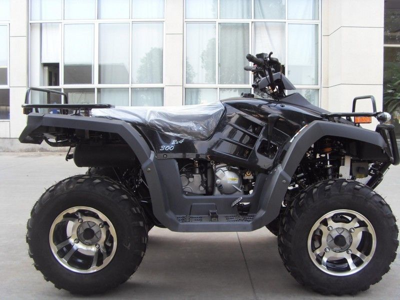 2개의 좌석, 두 배 팔/단 하나 팔을 가진 300CC 실용 차량 Atv 40.3mile/H
