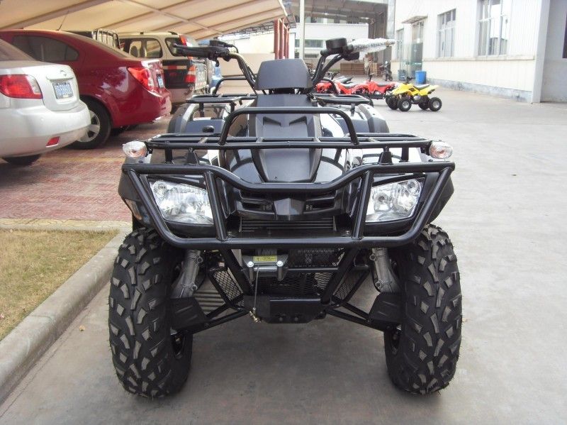 2개의 좌석, 두 배 팔/단 하나 팔을 가진 300CC 실용 차량 Atv 40.3mile/H