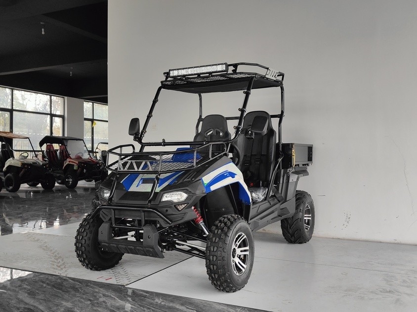 가스 유틸리티 차량 200EUX (EFI) Utv 자동 CTV 뒤집기 32도 아래로