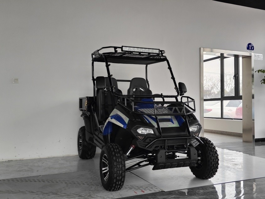 가스 유틸리티 차량 200EUX (EFI) Utv 자동 CTV 뒤집기 32도 아래로