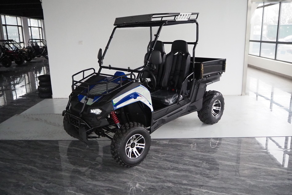 가스 유틸리티 차량 200EUX (EFI) Utv 자동 CTV 뒤집기 32도 아래로
