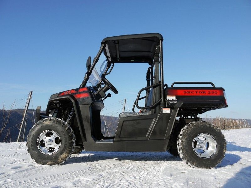 UTV 250 Efi - 빨강, Windsheild 및 견인봉을 가진 Tiltable 장전기 윈치 가스 시설 차량