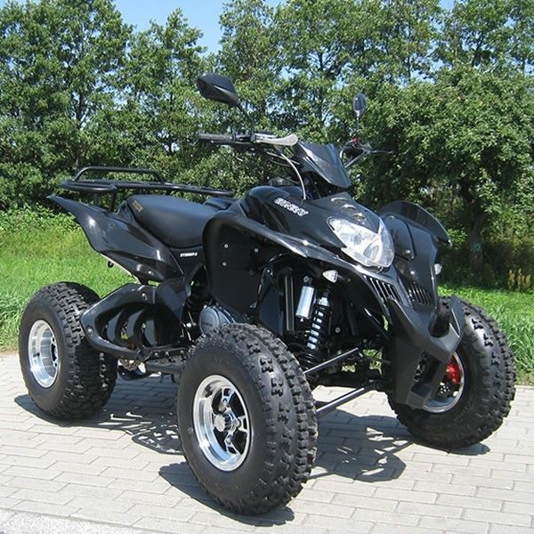 고속 실용 차량 ATV 250cc 엑스트라 라지 CDI 전기 시작 체계/수동 클러치