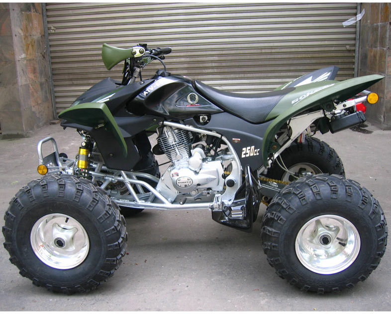농장과 산림 도로 250cc 젊음 경주 ATV의 최고 속도 46.6mile/h