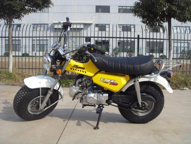 Skyteam T - Rex 125 125cc 소형 자전거, 4개 속도 장치를 가진 2명의 사람들 오토바이