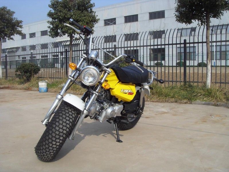 Skyteam T - Rex 125 125cc 소형 자전거, 4개 속도 장치를 가진 2명의 사람들 오토바이