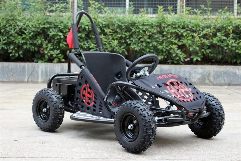 2인용 2 륜 마차, 도로 떨어져 1000w 아이 35km/H는 Kart 갑니다 찬성된 Kart EPA 갑니다