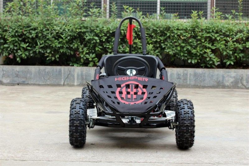 2인용 2 륜 마차, 도로 떨어져 1000w 아이 35km/H는 Kart 갑니다 찬성된 Kart EPA 갑니다