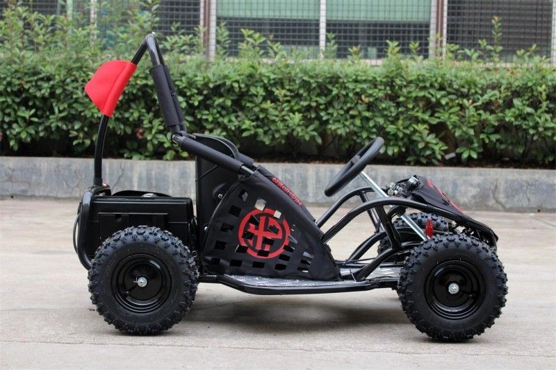 2인용 2 륜 마차, 도로 떨어져 1000w 아이 35km/H는 Kart 갑니다 찬성된 Kart EPA 갑니다