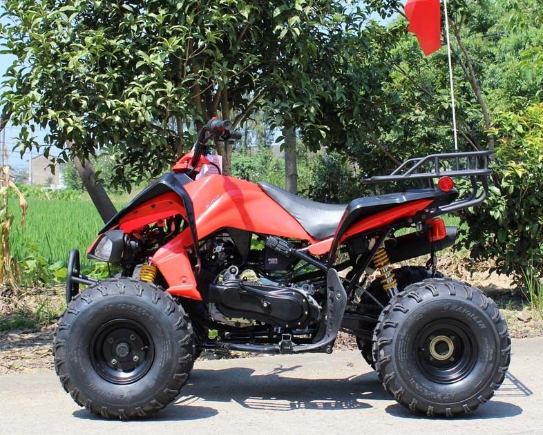 13.9HP 물은 후방 디스크 브레이크를 가진 ATV 200cc 4 짐수레꾼을 경주하는 젊음을 냉각했습니다