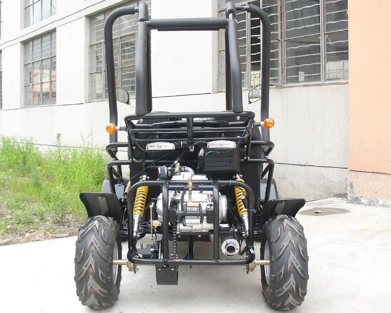 작은 3개 속도 110cc는 2 륜 마차 2 Seater Atv CDI Electirc 시작을 가진 Kart 갑니다