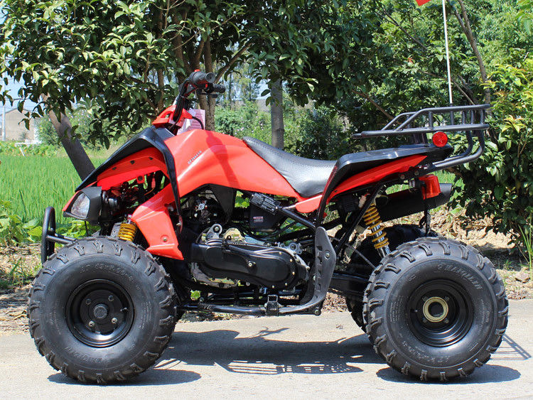 200cc 4 바퀴 ATV, 8