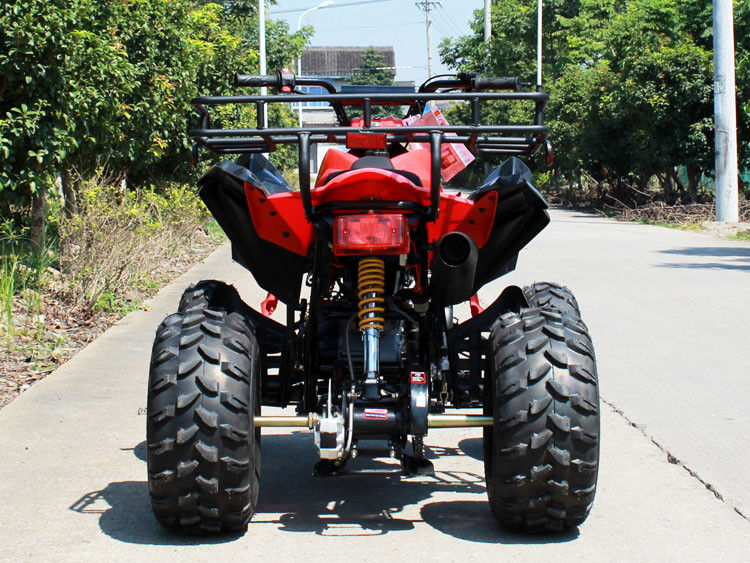 200cc 4 바퀴 ATV, 8