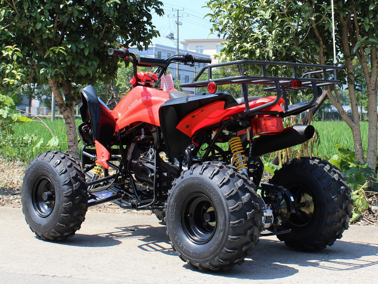 200cc 4 바퀴 ATV, 8