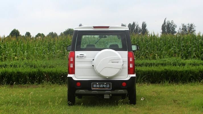 4개의 바퀴 500km 범위 이상을 가진 전기 골프 카트 소형 크기 1500w