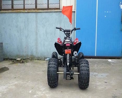 ATV 정면 드럼 브레이크 후방 디스크 브레이크 12V 4AH 건전지를 경주하는 전기 시작 젊음
