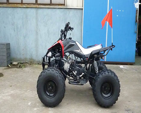 ATV 정면 드럼 브레이크 후방 디스크 브레이크 12V 4AH 건전지를 경주하는 전기 시작 젊음