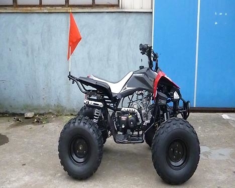 ATV 정면 드럼 브레이크 후방 디스크 브레이크 12V 4AH 건전지를 경주하는 전기 시작 젊음