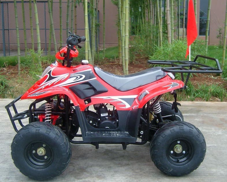 정면 두 배 그네 팔 70cc ATV 쿼드 자전거 80KG 최대 선적 고성능