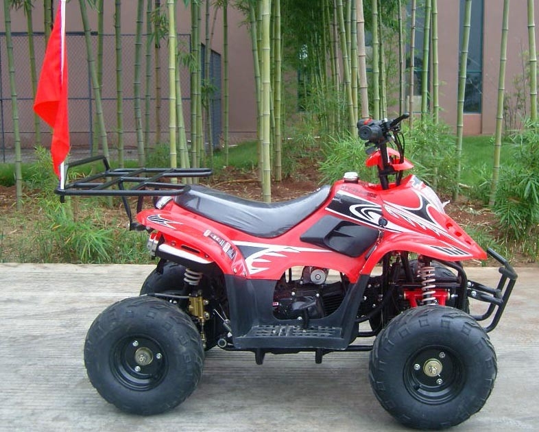정면 두 배 그네 팔 70cc ATV 쿼드 자전거 80KG 최대 선적 고성능
