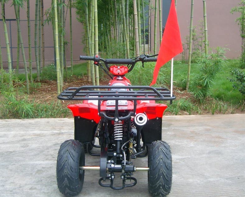 정면 두 배 그네 팔 70cc ATV 쿼드 자전거 80KG 최대 선적 고성능