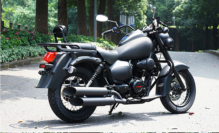 산림 도로를 위한 115km/H 최고 속도 250cc 단속기 오토바이 12L 연료 탱크