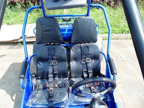 2.25 Gal 17.4 HP CDI 점화 300 입방 센티미터 CVT EFI고 고카트 유모차