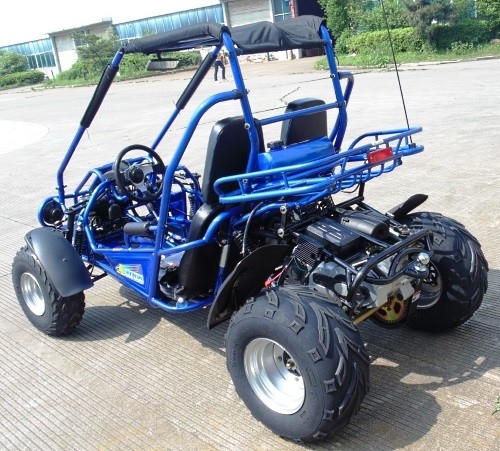 2.25 Gal 17.4 HP CDI 점화 300 입방 센티미터 CVT EFI고 고카트 유모차