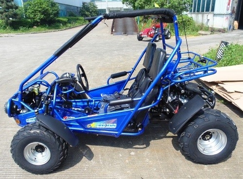 2.25 Gal 17.4 HP CDI 점화 300 입방 센티미터 CVT EFI고 고카트 유모차