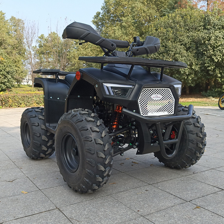 125 입방 센티미터 4 휠 Atv 4 타격 단기통 맥스 마력 8.0 kw 9500r/Min