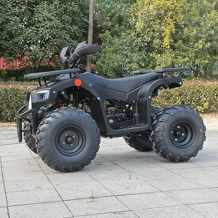 125 입방 센티미터 4 휠 Atv 4 타격 단기통 맥스 마력 8.0 kw 9500r/Min