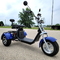 2000w Electric Moped Bike 3 Wheel Fat Tire Brushless Dc Motor